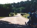 0814_01_approachingherd.jpg