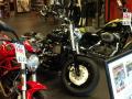 0108_08_FreeMonsterOrSportster.jpg
